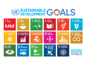 United Nations' 17 Sustainable Development Goals